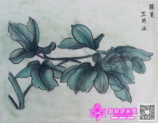 工笔画-藤蔓(王玥涵)2014年7月13-16日