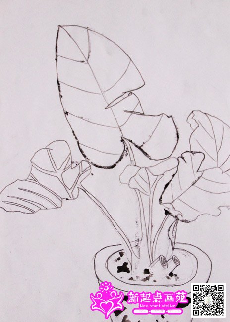 ��ֲǦ�ʸ�-�����أ�����