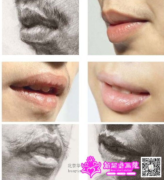 素描人头像之手把手教你画嘴巴(超详细嘴巴画法步骤)