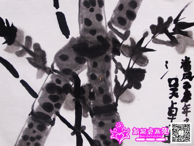 ��׿ӯ������