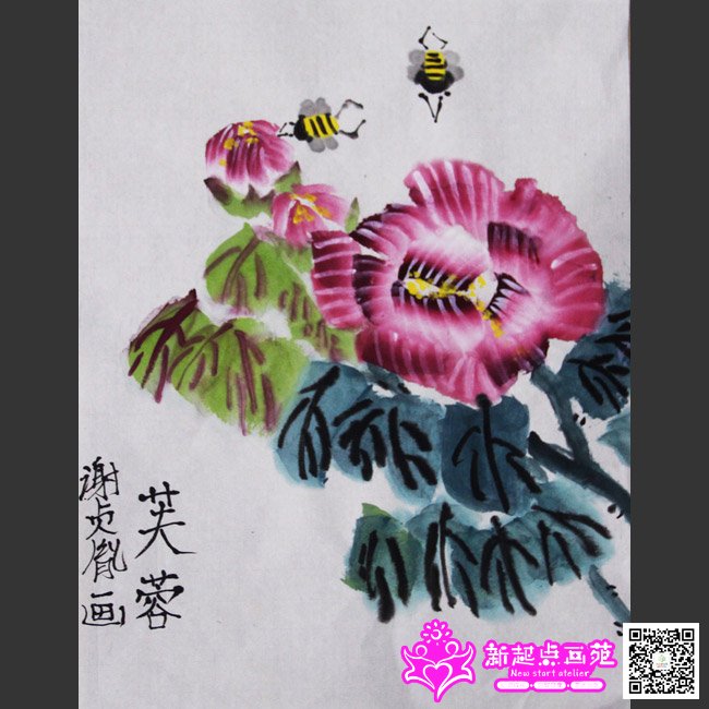 л��ط������