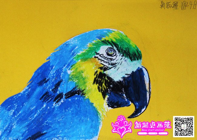 �����ţ�����