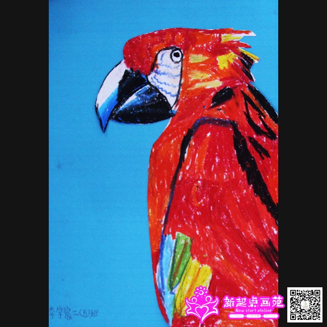 ����巣�����