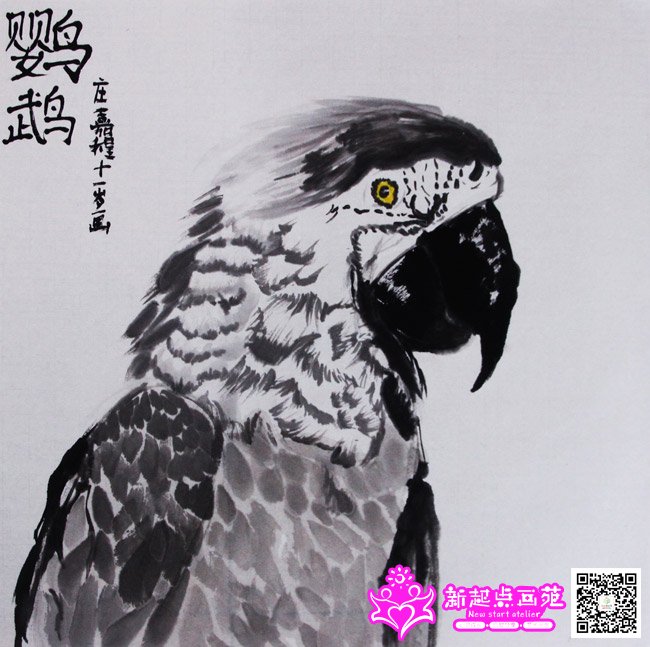 ׯ�γ̣�����