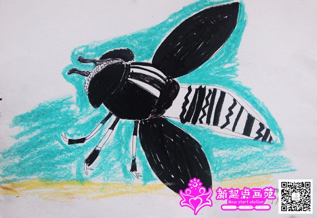 ����գ�����