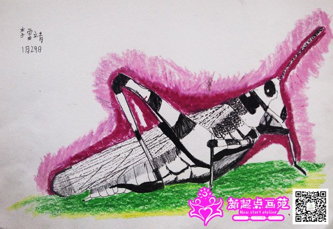 ���׾�������