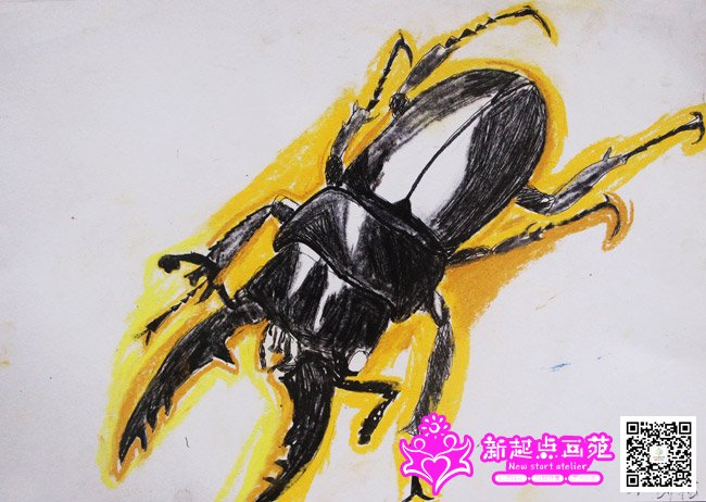 �Ž��ɣ�����