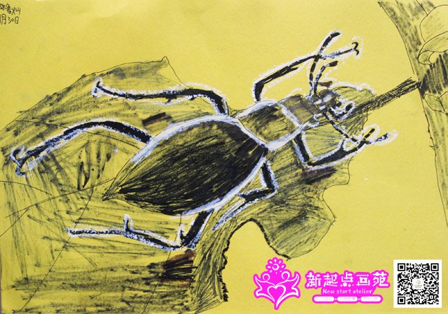 ��³�ӣ�����