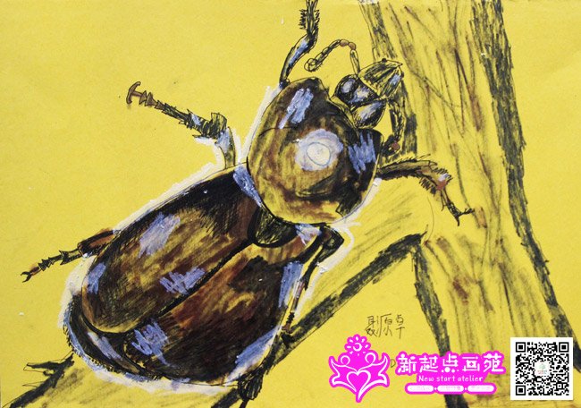 ��Դ׿������