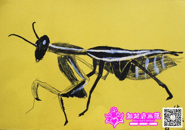 ����գ�����