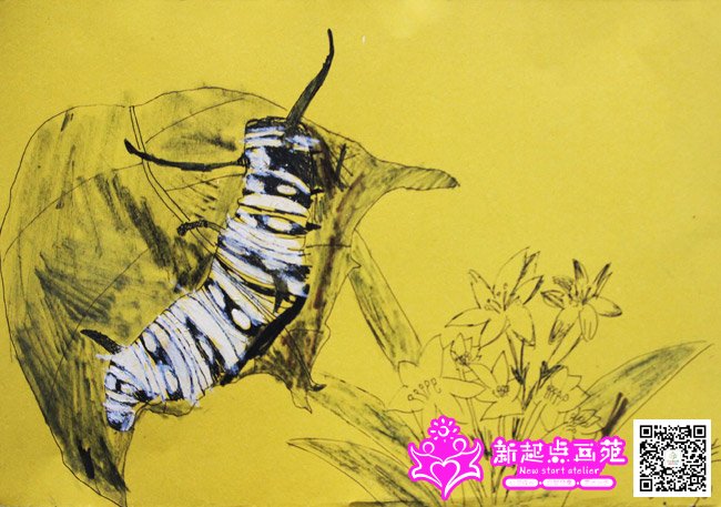 ��֥��������