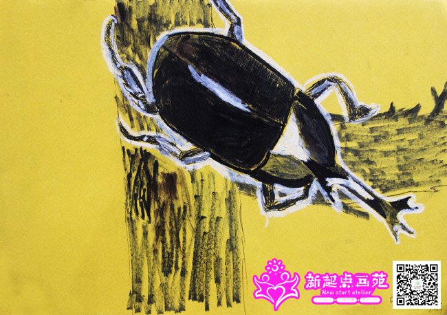 �Ž��ɣ�����