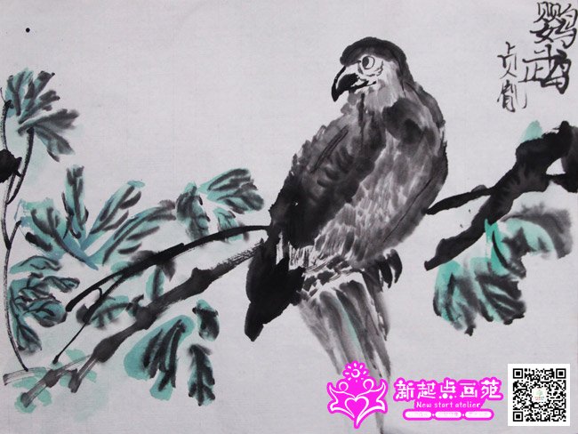 л��ط������