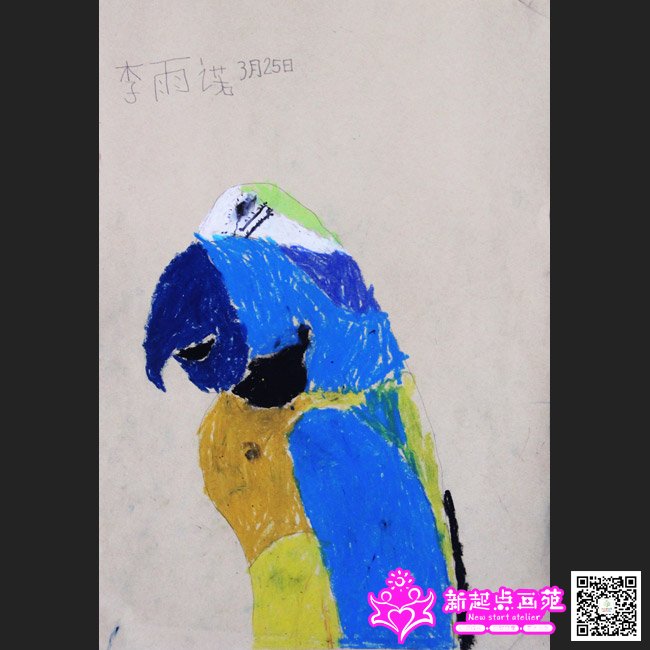 ����ŵ������