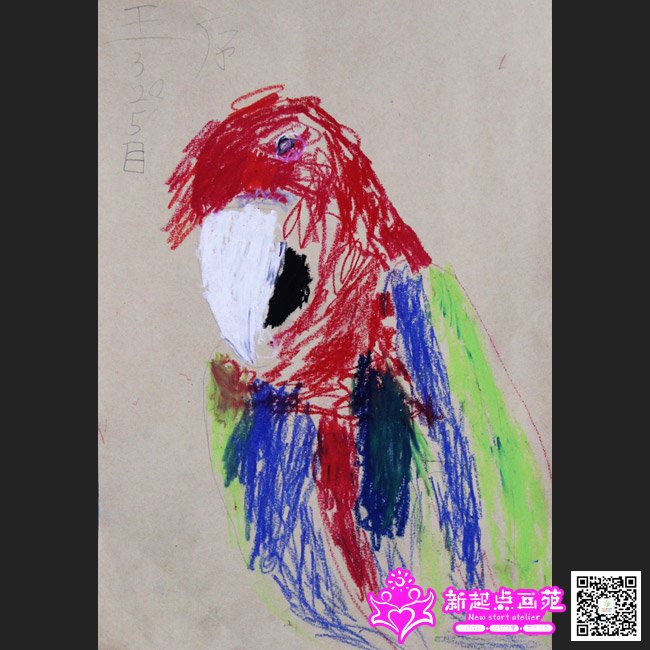 ���򣨻���