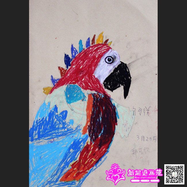 ֣����������