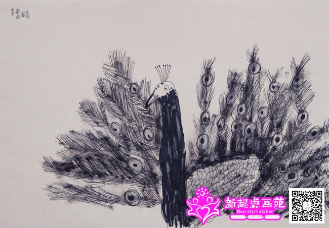 ���׾�������