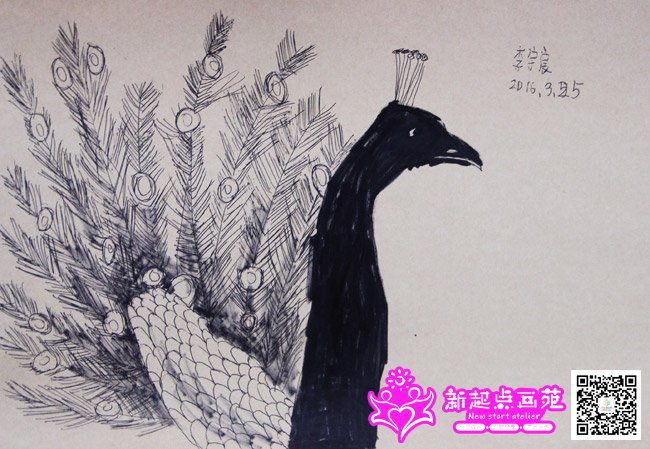 ����巣�����