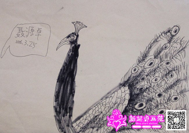 ��Դ׿������