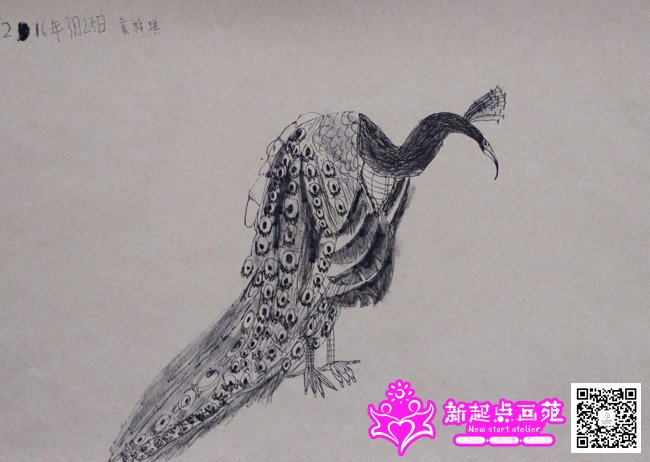 Ԭ����������