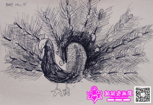 ֣�������