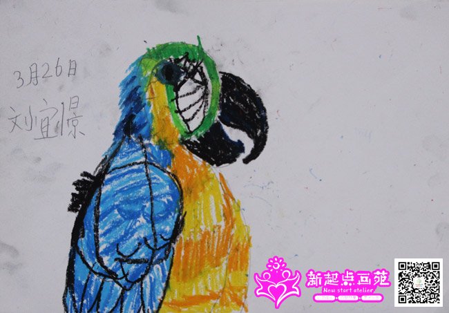 ����㽣�����