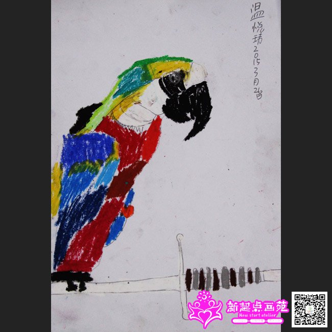 �����⣨����