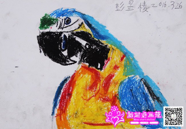 �����⣨����