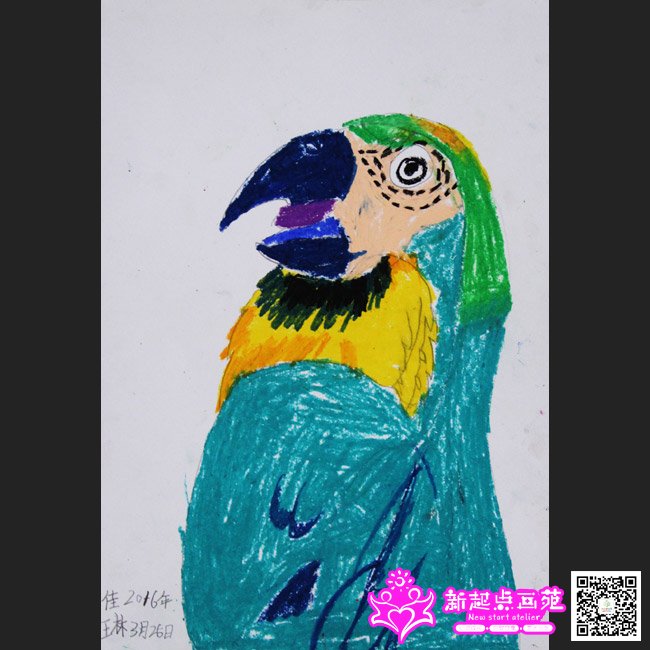 ����գ�����