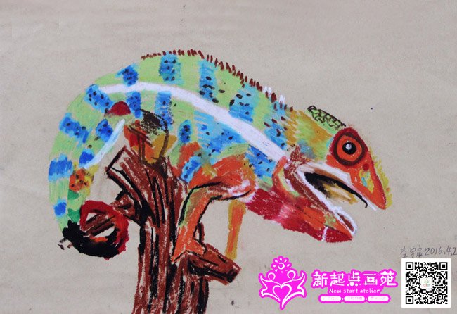 ����巣�����