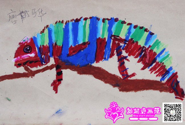 �����裨����