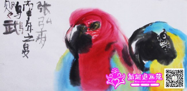 �ź루����