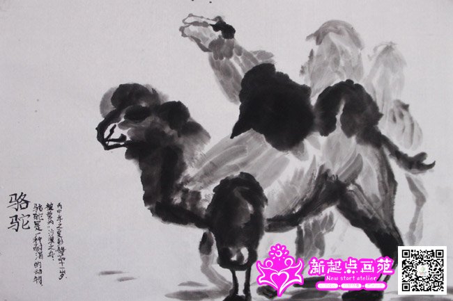 �����㣨����