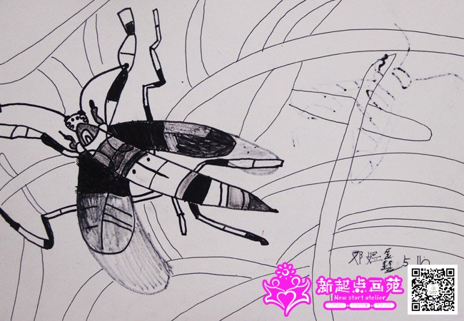 �����Σ�����