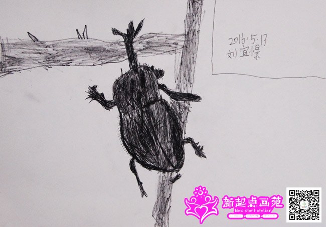 ����㽣�����