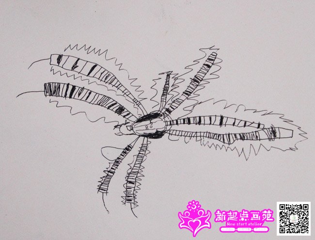 ����Ƚ������