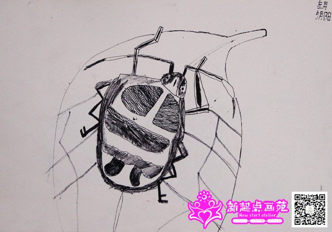 ���£�����