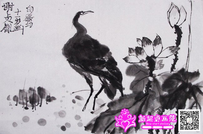 л��ط������