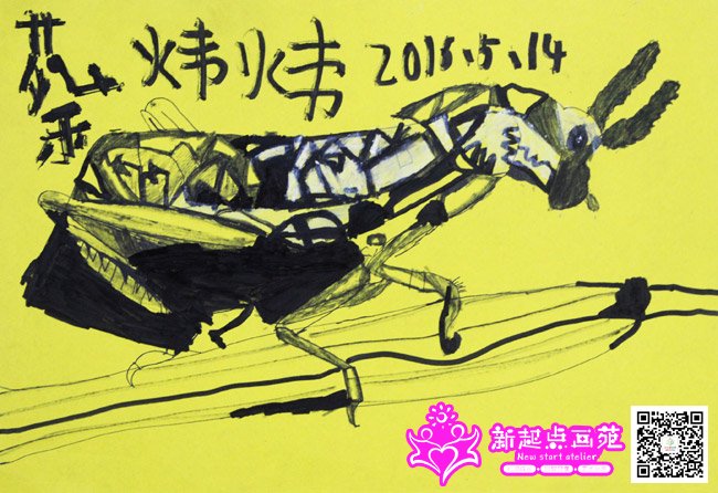 ��쿣�����