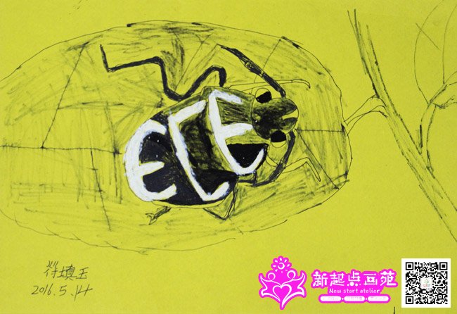 �����񣨻���