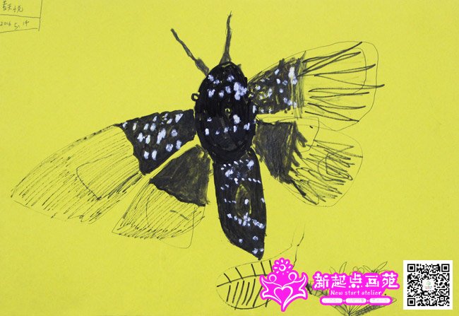 �����ã�����