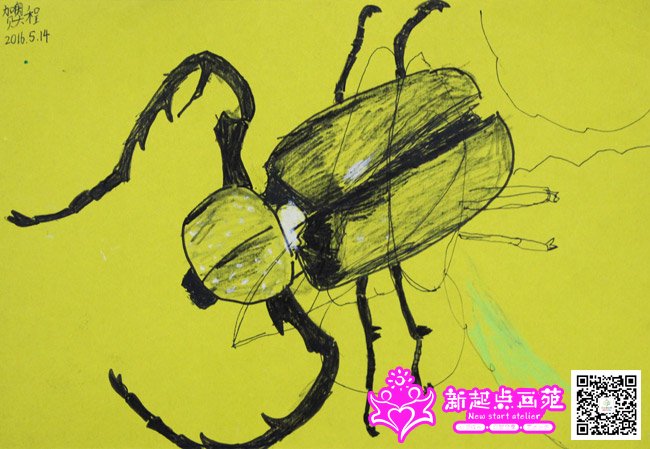 �ذ³̣�����