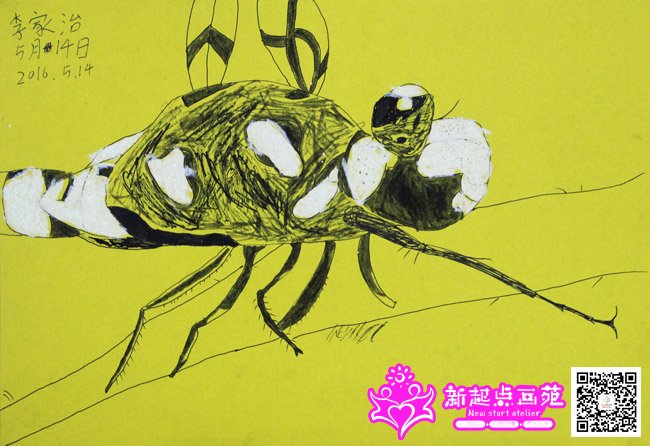 ����Σ�����