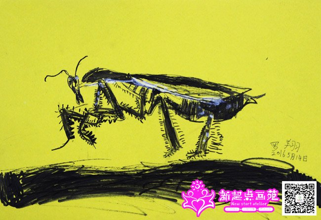 ���裨����