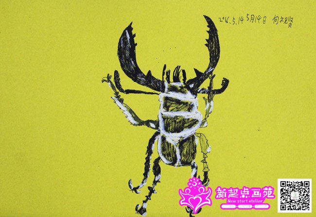 ��ף�ͣ�����