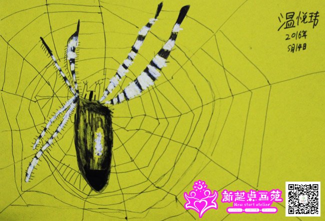 �����⣨����