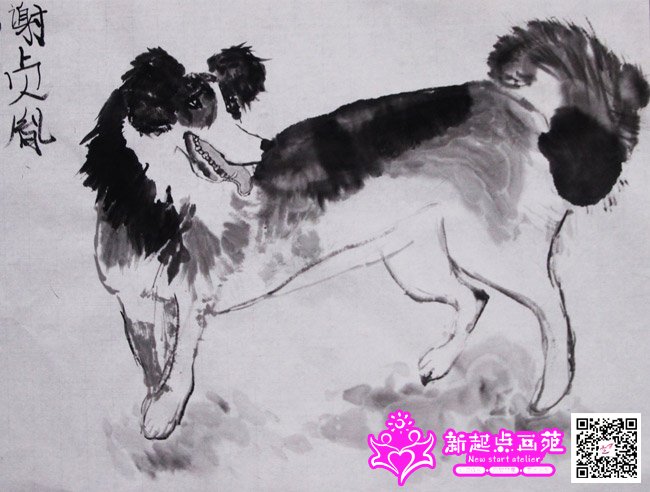 л��ط������