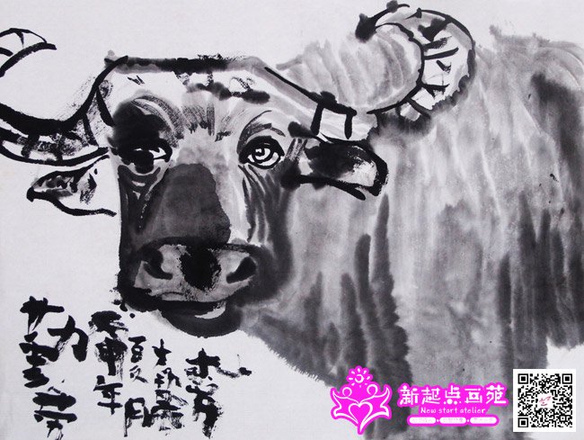 ���ɣ�����